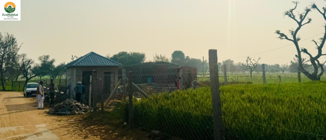 Farm house land near Jaipur